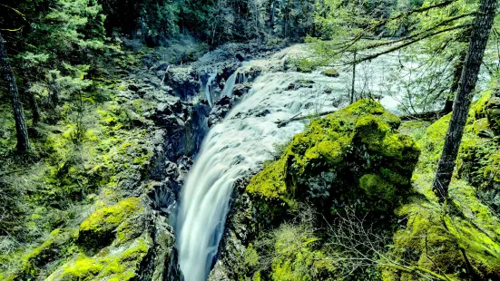 Englishman River Falls Park