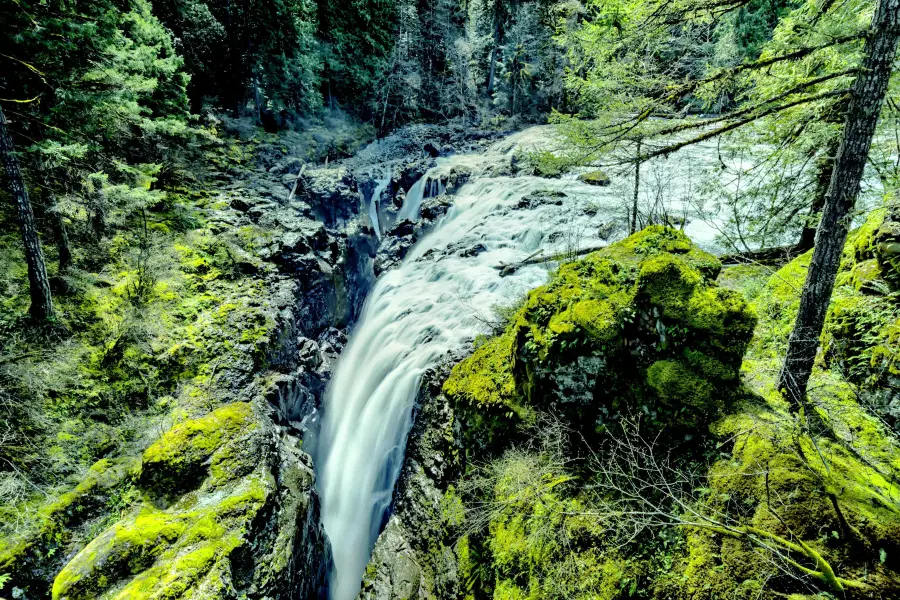 Englishman River Falls Park