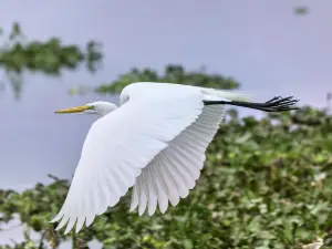 ブラゾス・ベンド州立公園