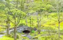 Seattle Chinese Garden