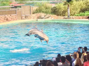 Parque zoológico de Ática