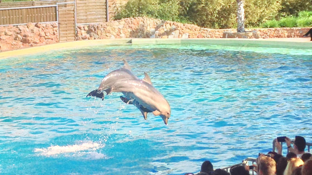 Attica Zoological Park