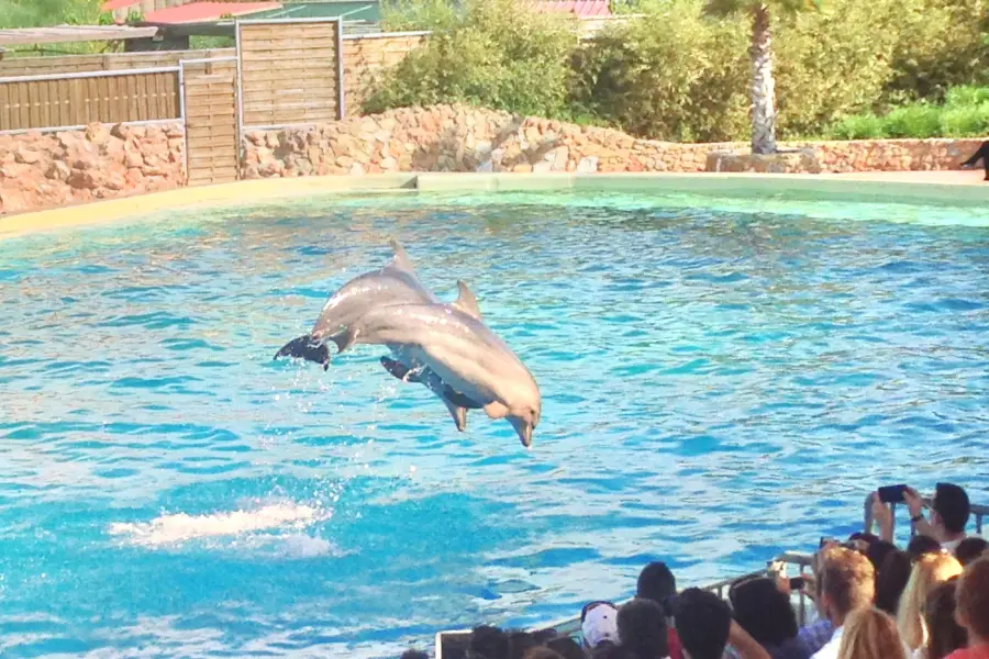 阿提卡動物園