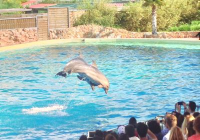 Parque zoológico de Ática