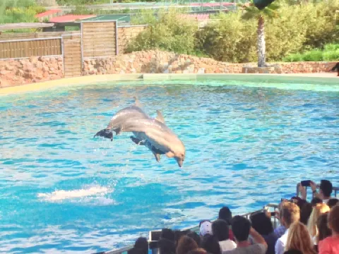 斯帕塔-阿爾泰米扎