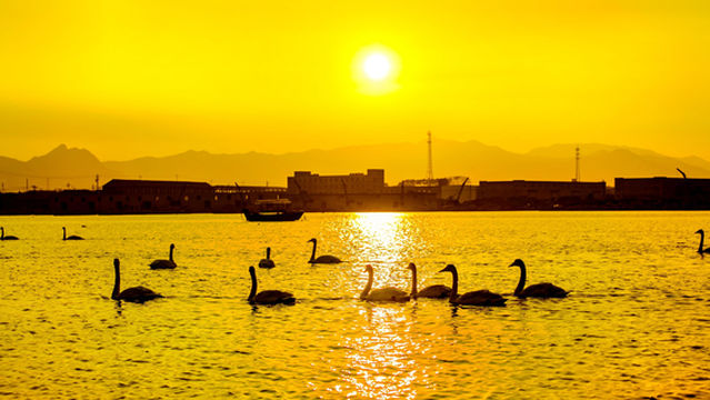 Victory Swan Lake Scenic Area