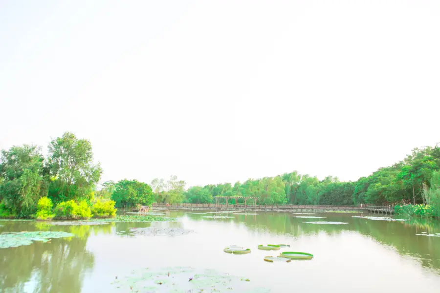 Парк водно-болотных угодий в Наньша