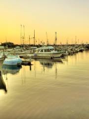 Fishermen's Terminal