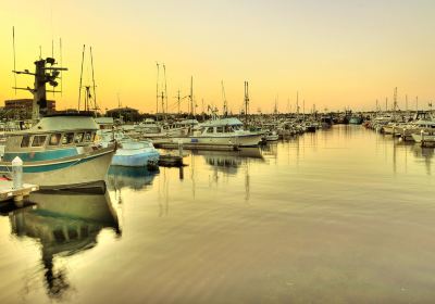 Fisherman's Terminal