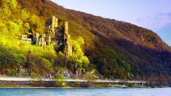 Rheinstein Castle