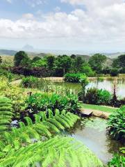 Maleny Botanic Gardens & Bird World