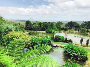 Maleny Botanic Gardens