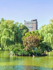 Boston Common Frog Pond