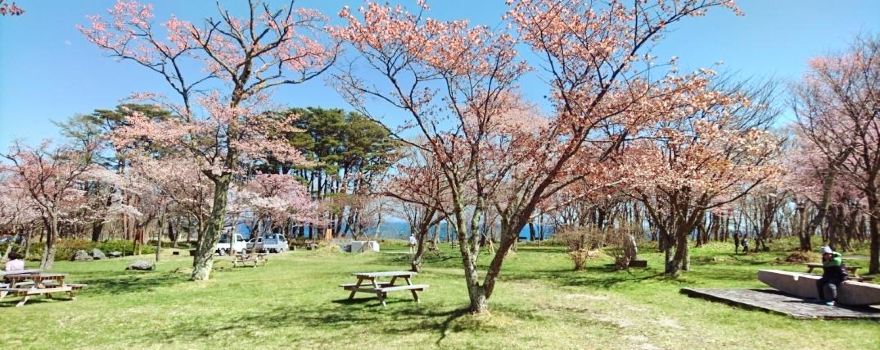 Shoyasakura Park