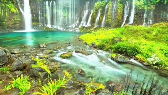 Chutes d'eau de Shiraito