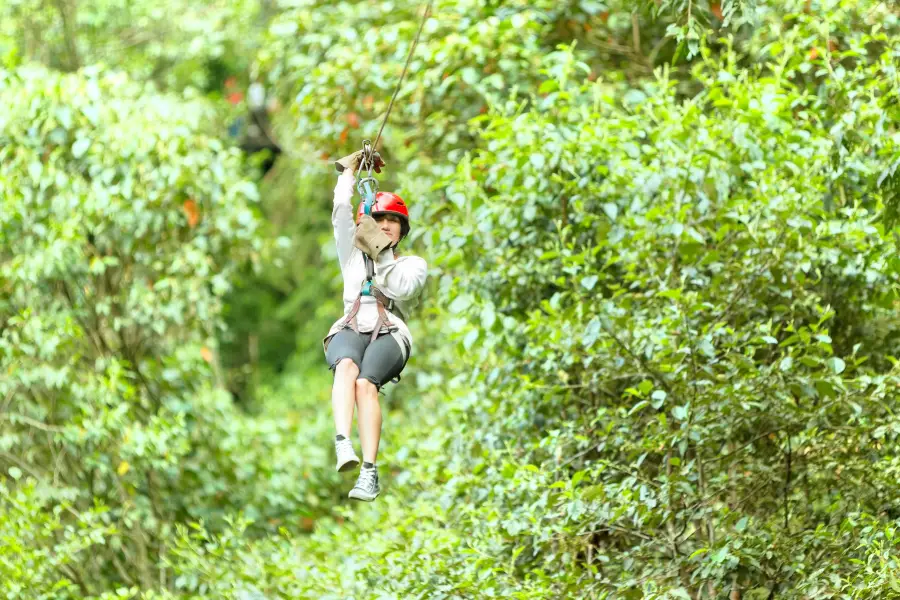 Flying Hanuman