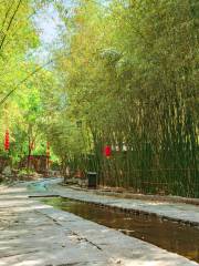 Bamboo Spring Village