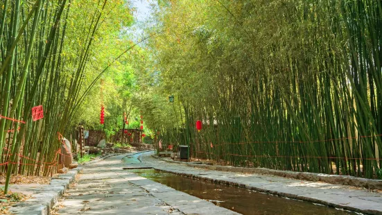 Bamboo Spring Village