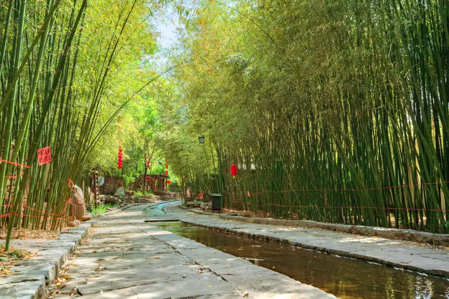 Bamboo Spring Village