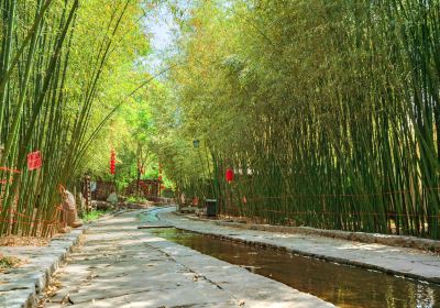 Bamboo Spring Village