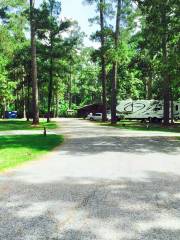 Bosque nacional de Sam Houston