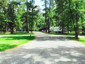 Bosque nacional de Sam Houston