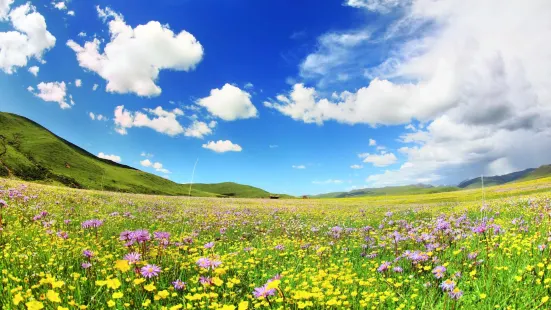 俄么塘花海景区