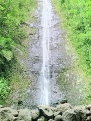 Manoa-Wasserfall