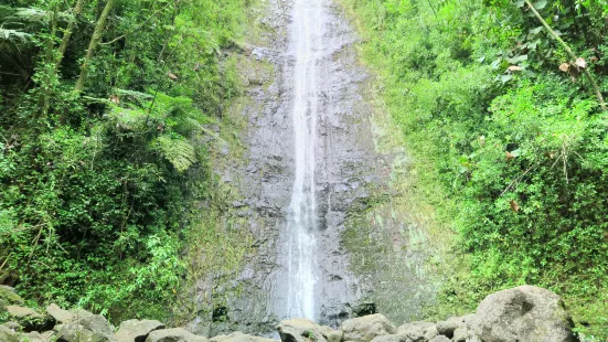 Manoa Falls