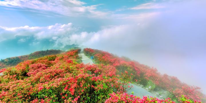 Longquan Mountain