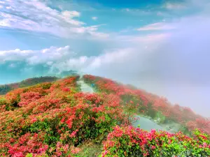 Longquan Mountain