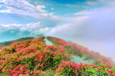Longquan Mountain