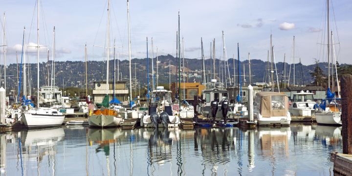 伯克利海灣