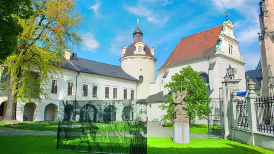 Saint Wenceslas Cathedral Olomouc