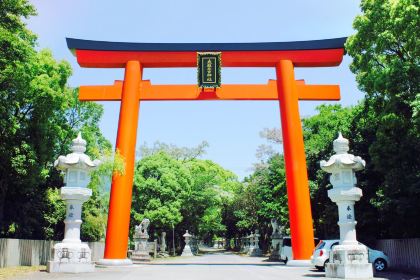Tokushima Prefecture Travel Guide 2026: Top Cities, Places to