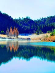 Fengyang Mountain Nature Reserve