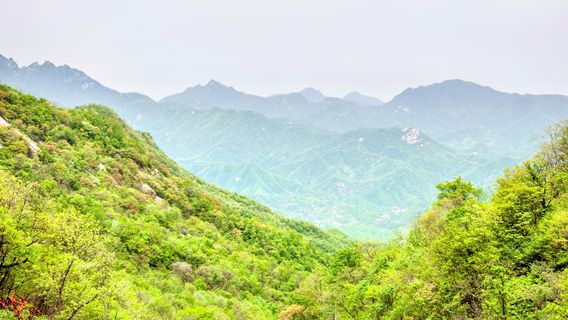 Luanchuan