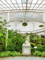 Glasgow Botanic Gardens