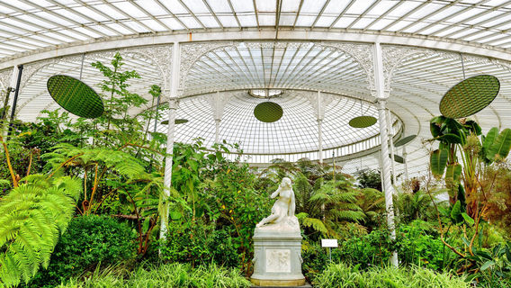 Glasgow Botanic Gardens