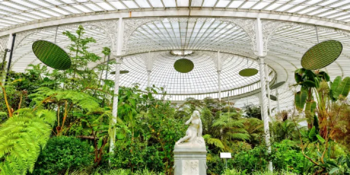 Glasgow Botanic Gardens