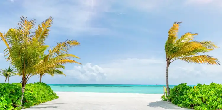 Kanifushi