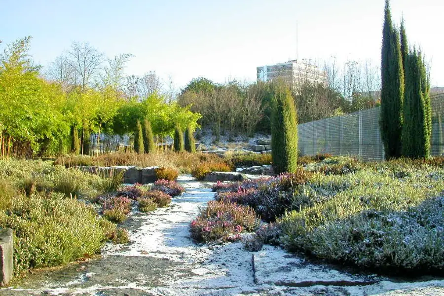 Parc Henri Matisse