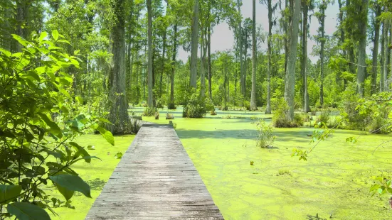 Cypress Gardens