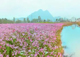 仙溪花廊