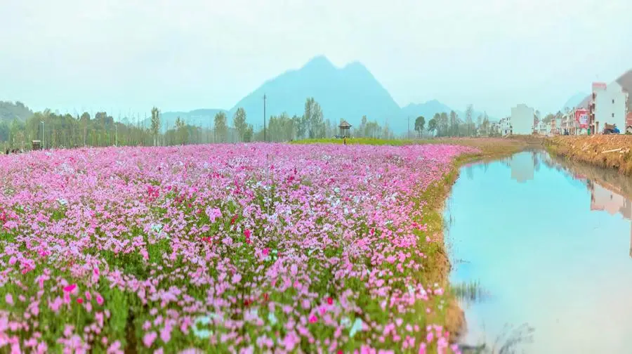 Xianxi Flower Gallery