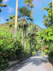 Mont Fleuri Botanical Gardens