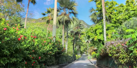 維多利亞·布查德花園