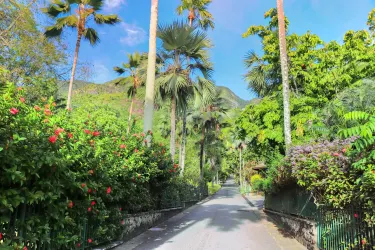 Victoria Botanical Gardens