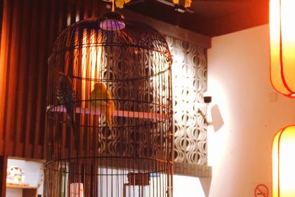 蛮牛海鲜烧烤城(琵琶路店)