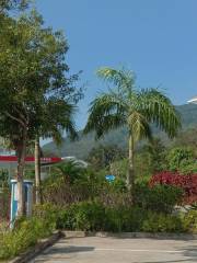 Fengmu Deer Feeding Farm